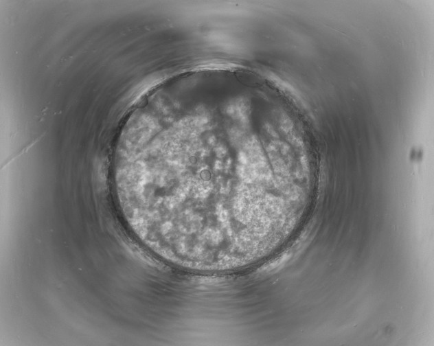 X0000093721401200711131002