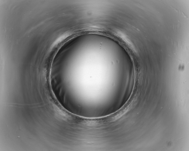 X0000093721402200711131002