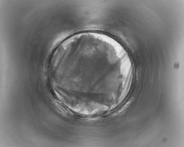 X0000093721405200711131002