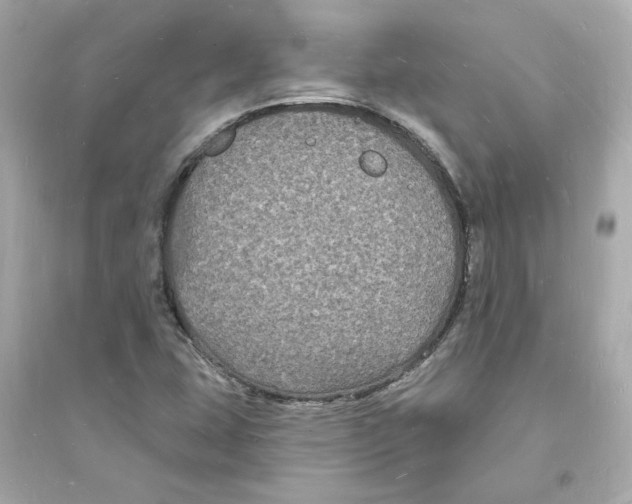 X0000093721407200711131002