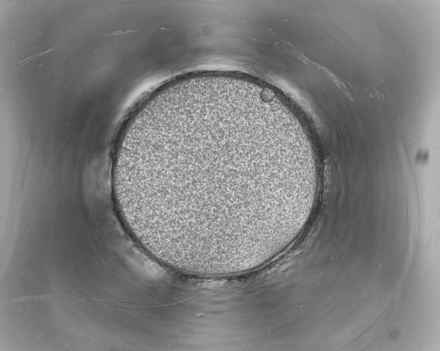 X0000093721408200711131002