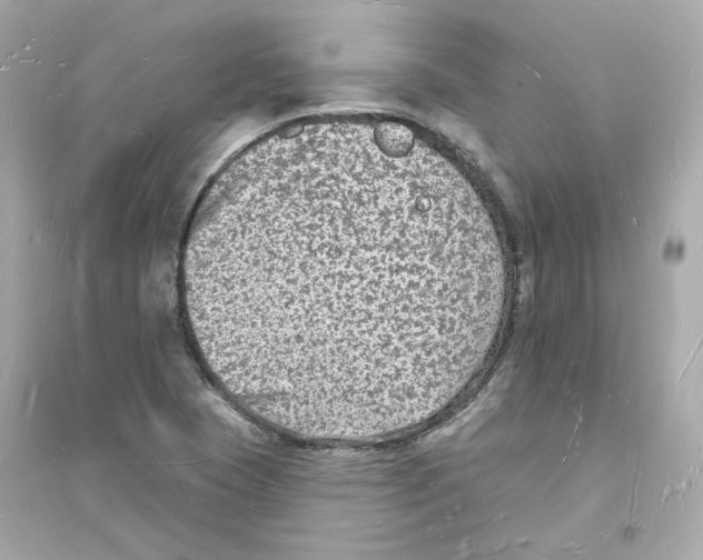 X0000093721409200711131002