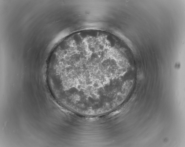 X0000093721411200711131002