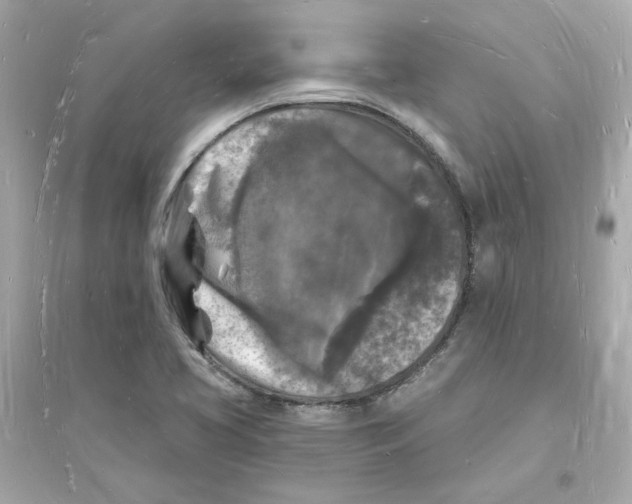 X0000093721413200711131002