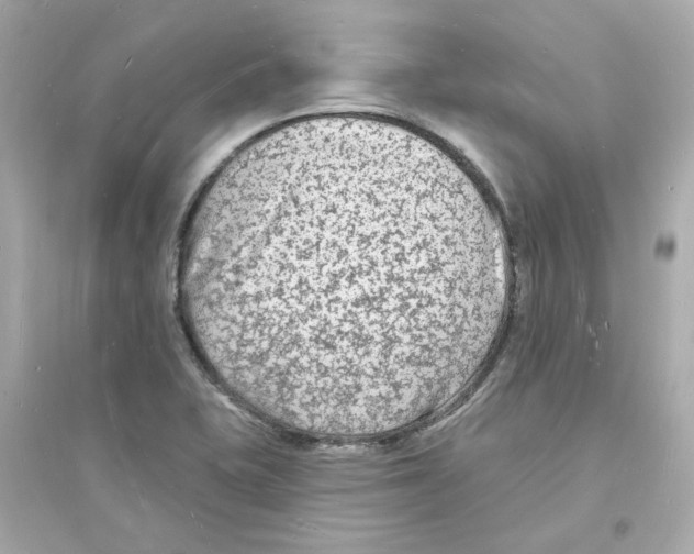 X0000093721415200711131002