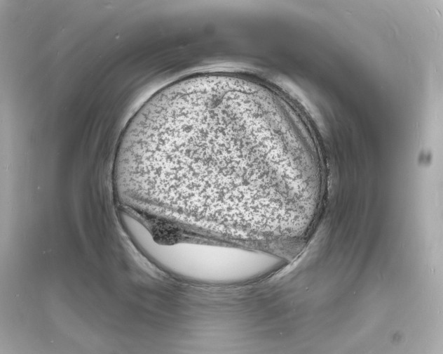 X0000093721417200711131002