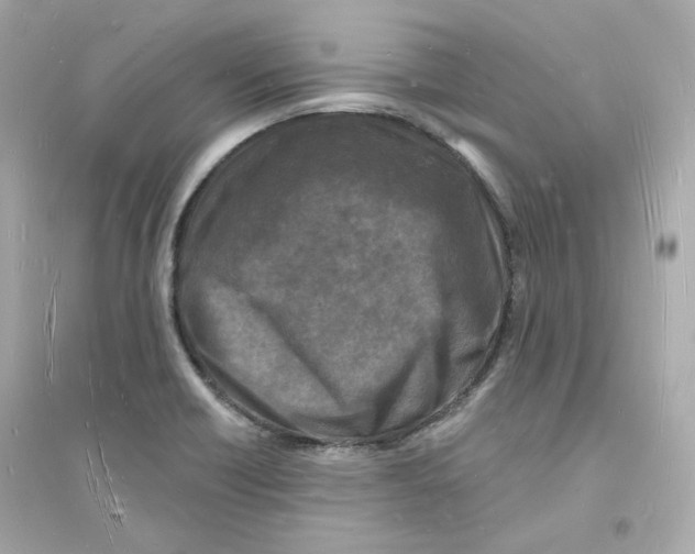 X0000093721418200711131002