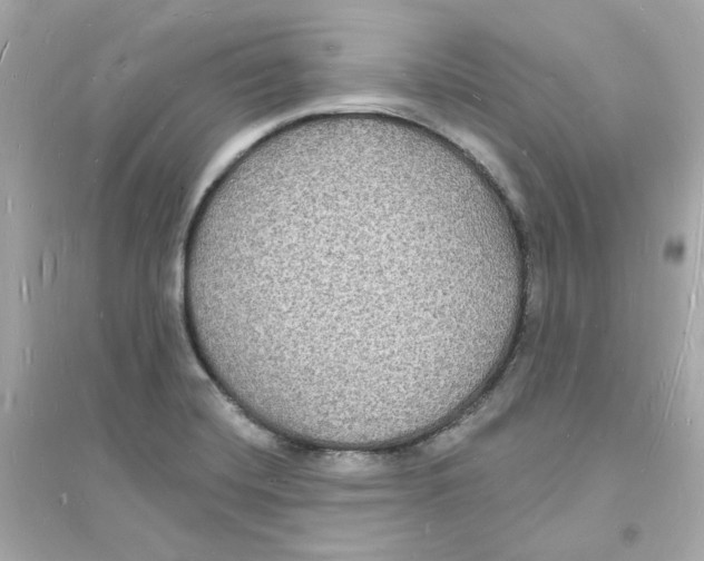 X0000093721420200711131002