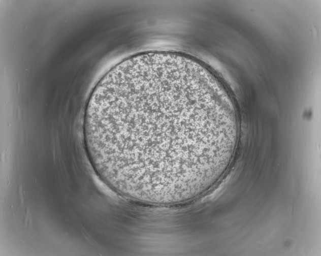 X0000093721421200711131002