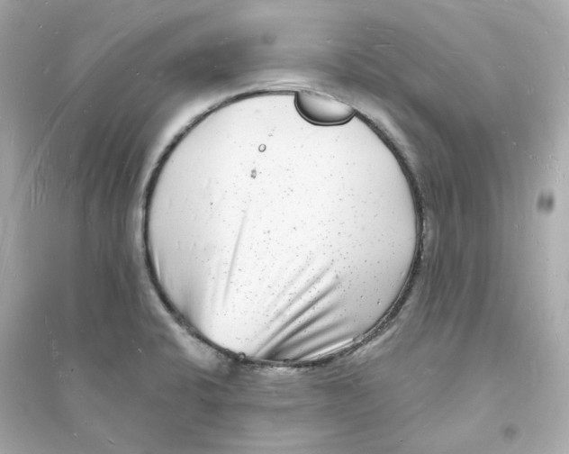 X0000093721424200711131002