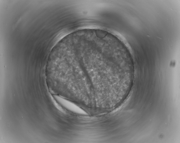 X0000093721425200711131002