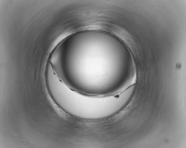 X0000093721426200711131002