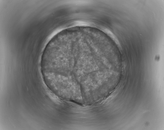 X0000093721427200711131002