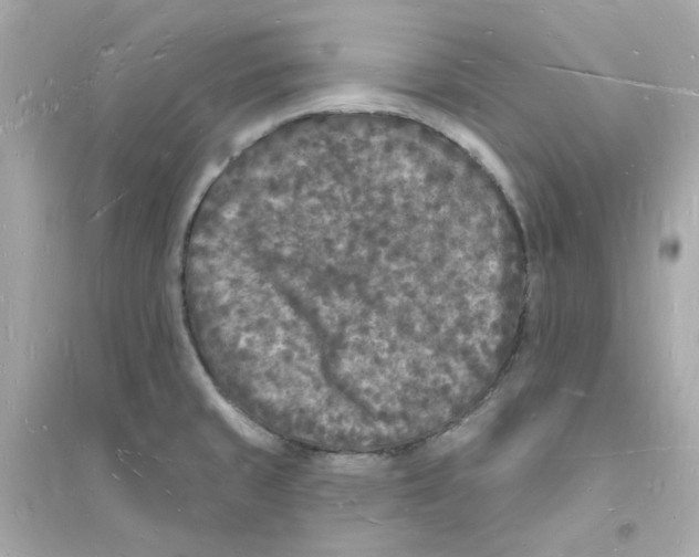 X0000093721429200711131003