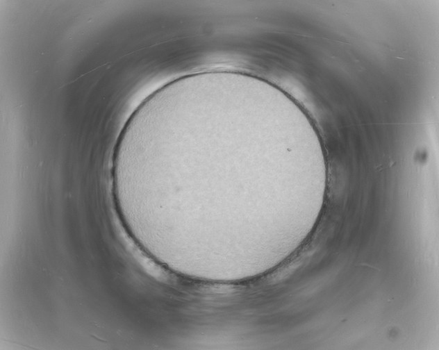 X0000093721431200711131003