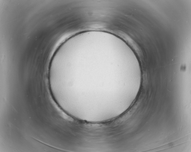 X0000093721432200711131003