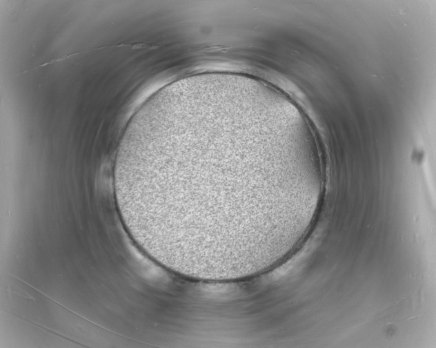 X0000093721433200711131003