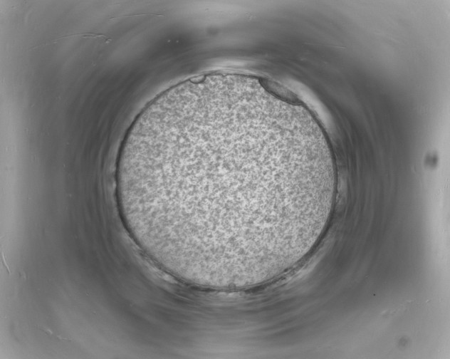 X0000093721435200711131003