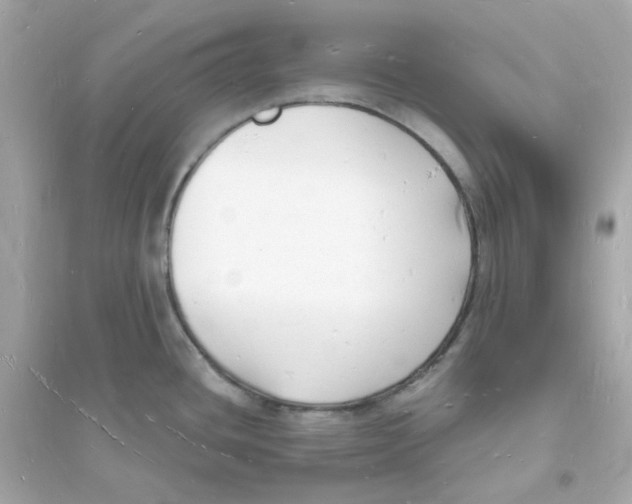 X0000093721436200711131003