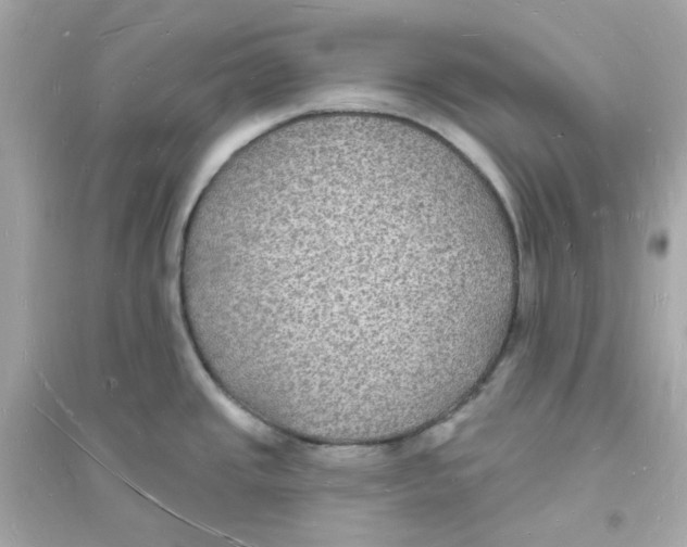 X0000093721437200711131003