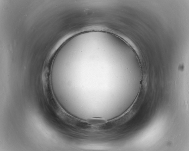 X0000093721438200711131003