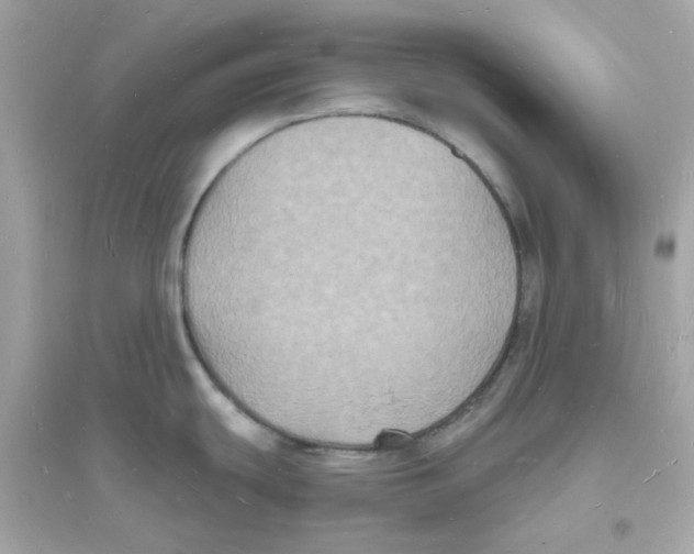 X0000093721439200711131003