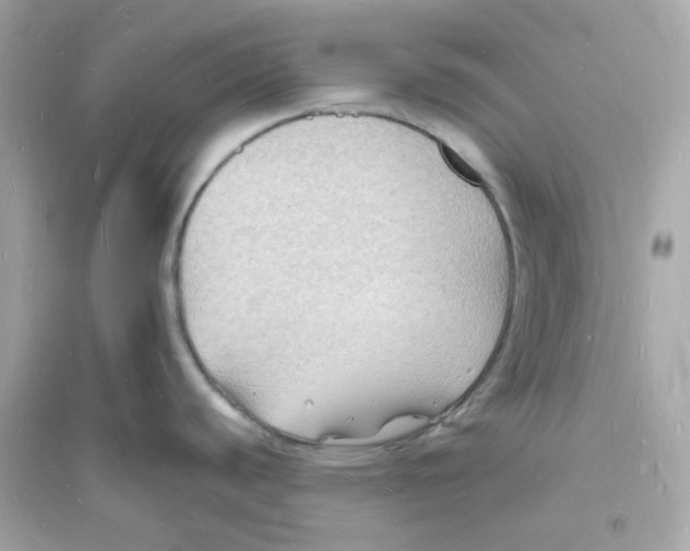 X0000093721440200711131003