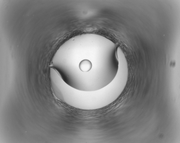 X0000093721441200711131002