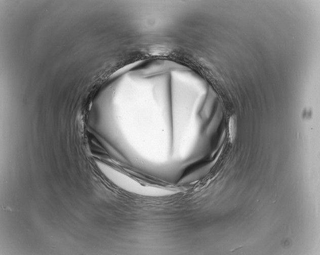 X0000093721443200711131002