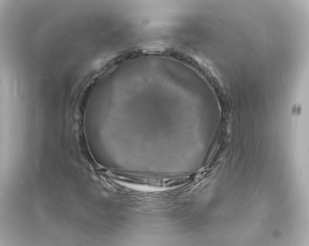 X0000093721445200711131002