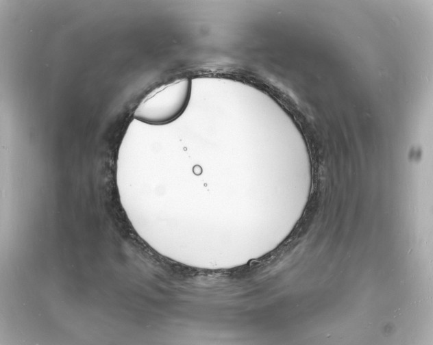 X0000093721447200711131002