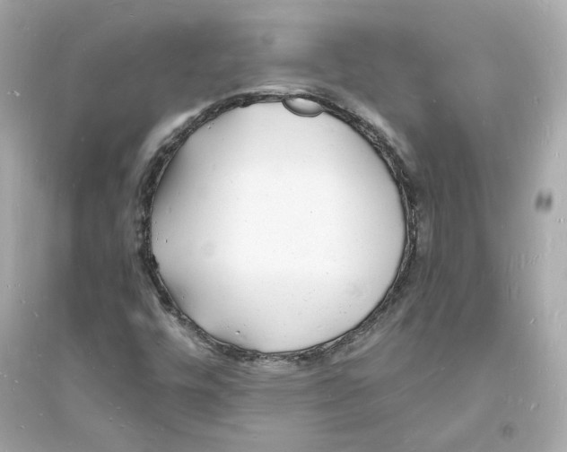 X0000093721448200711131002