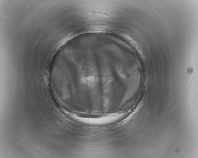 X0000093721449200711131002