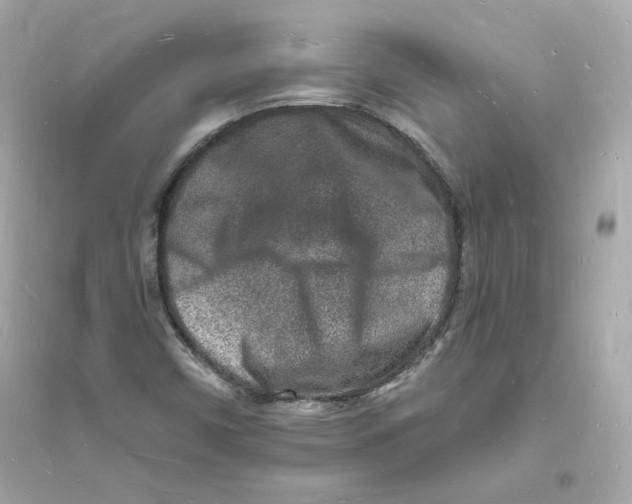 X0000093721450200711131002