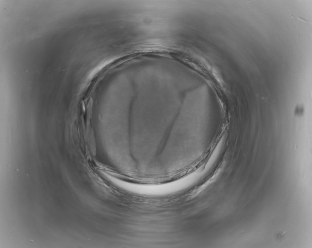 X0000093721453200711131002