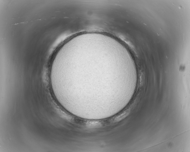 X0000093721454200711131002