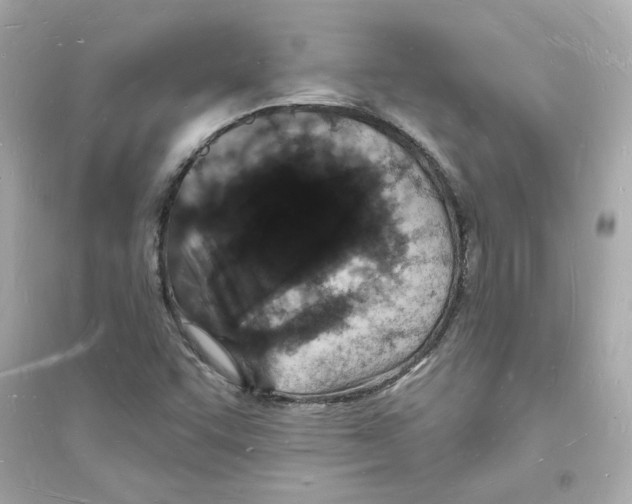 X0000093721455200711131001