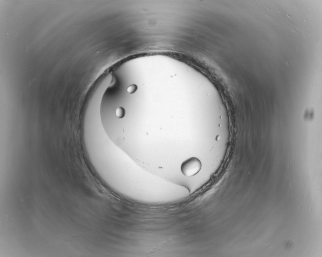 X0000093721457200711131001