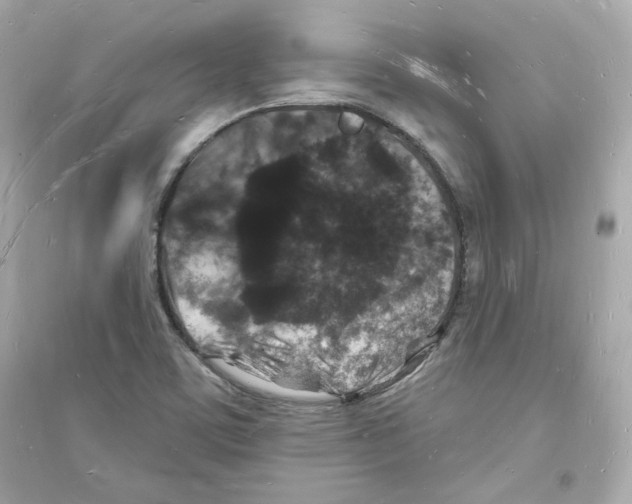 X0000093721459200711131001