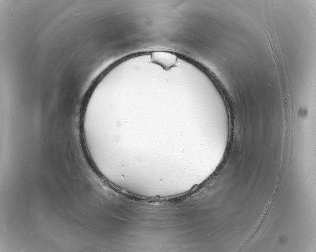 X0000093721460200711131001