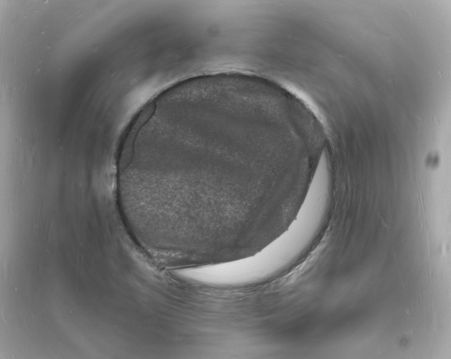 X0000093721461200711131001