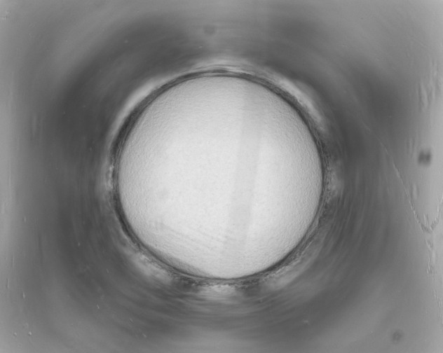 X0000093721462200711131001