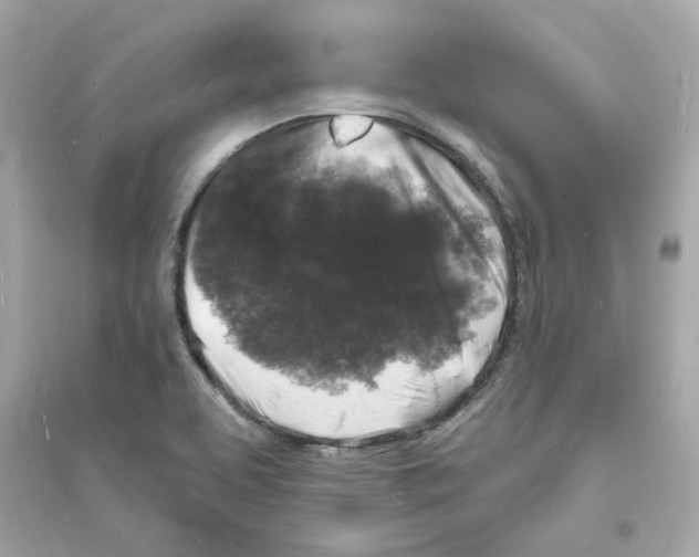 X0000093721463200711131001