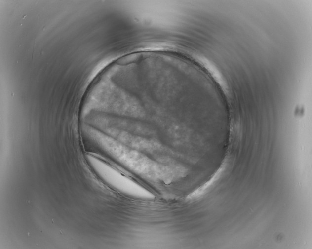 X0000093721465200711131001