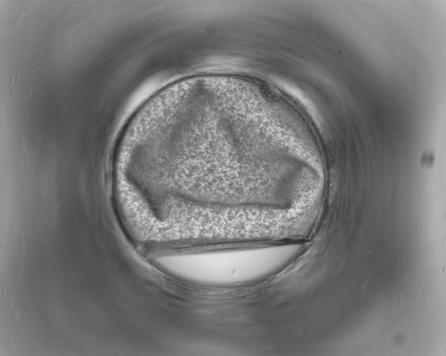 X0000093721467200711131001