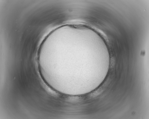 X0000093721470200711131001