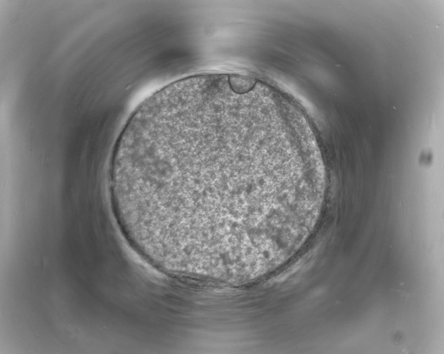 X0000093721471200711131001