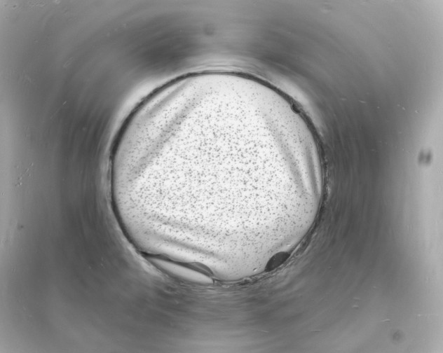 X0000093721472200711131001