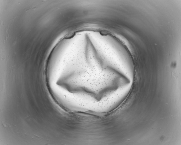 X0000093721475200711131001