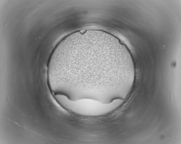 X0000093721476200711131001